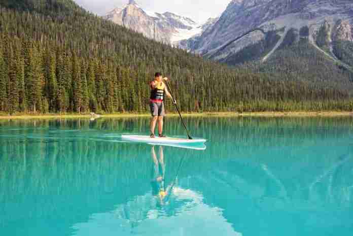 paddle board