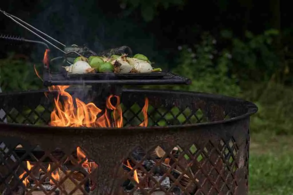 Tasty Grilled Vegetable Suggestions For Your Next Camping Expedition 6 camping grilled vegetables 1200x800 1