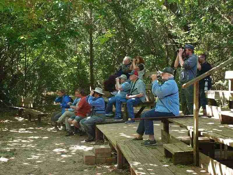 Expert Tips For Selecting The Ideal Campsite For Birdwatching 5 high islan boy scouts woods use this one 7bf20104 8aad 464b 85a7 873f9db927e7 copy