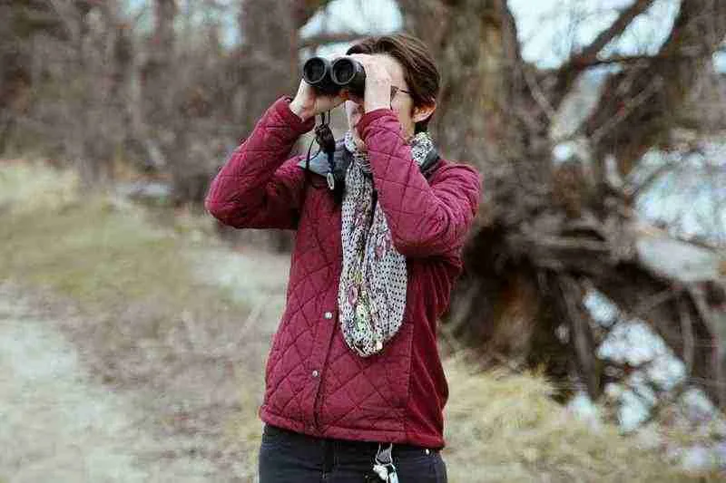 Expert Tips For Selecting The Ideal Campsite For Birdwatching 7 must do fall camping activities jordan spalding rlpnviei2nc unsplash edit copy 1