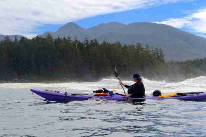 Clayoquot Sound purple kayak Clayoquot Sound