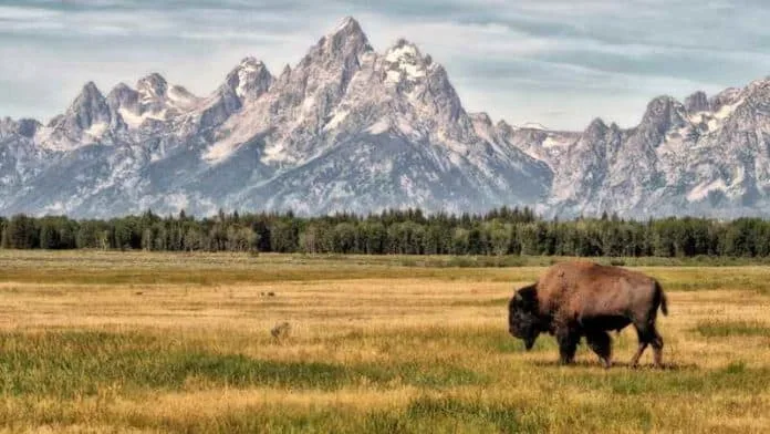 grand teton national park