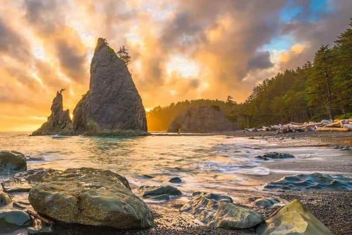 olympic national park 800 X 533 olympic national park