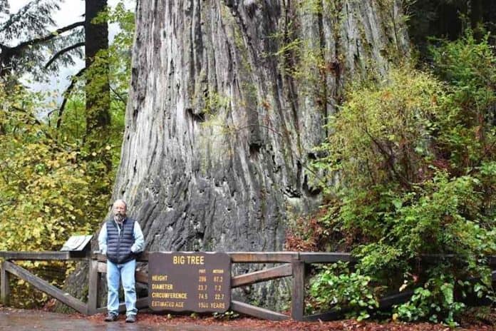Redwood National Park